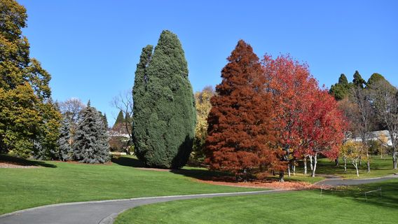 Royal Tasmanian Botanical Gardens