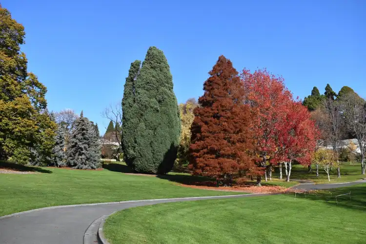 Hotels in Queens Domain