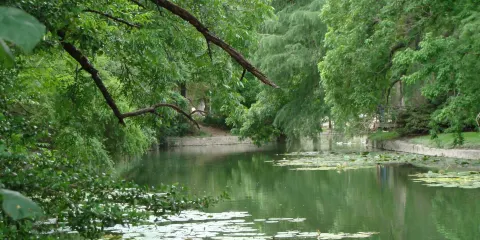 布雷根里基公園