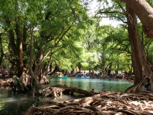 Parque Nacional Lago de Camecuaro
