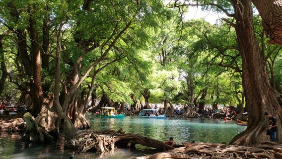 Parque Nacional Lago de Camecuaro