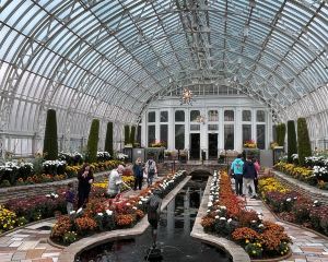 香港-聖保羅 機票酒店 自由行