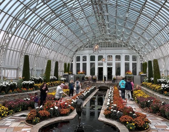 聖保羅 自由行套票