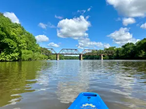 Cape Fear River Adventures