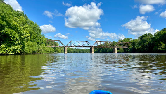 Cape Fear River Adventures