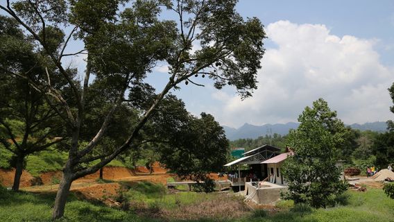 Bentong