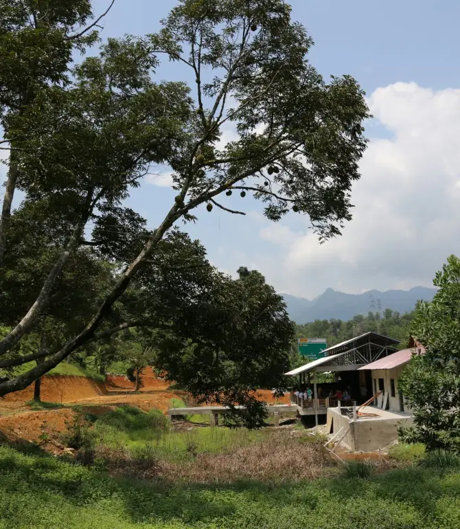 Sabai