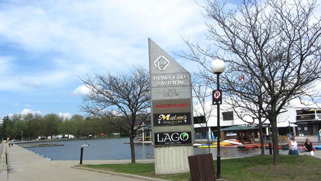 Canadian Tulip Festival