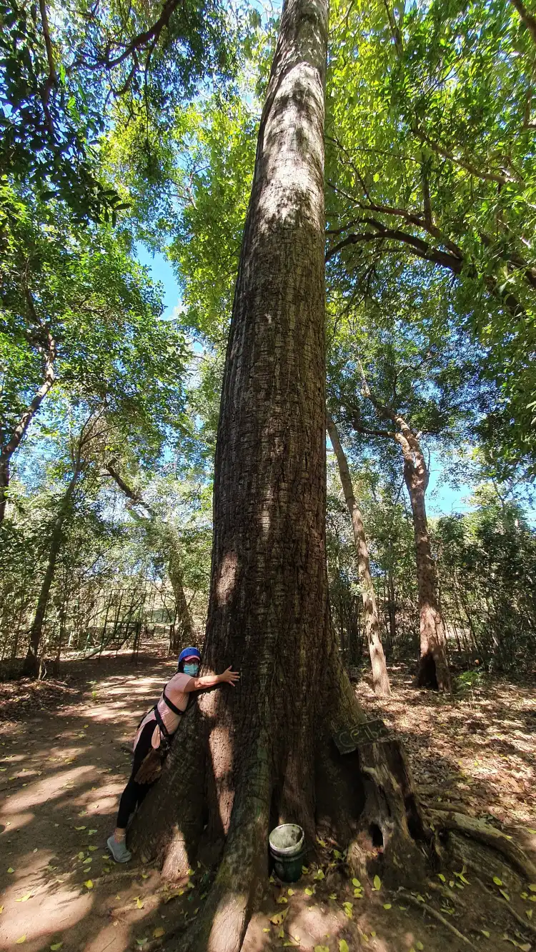 Hotels in Finca Panama