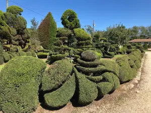 The Pearl Fryar Topiary Garden
