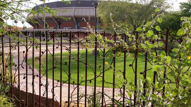 Arizona State University Desert Arboretum Park