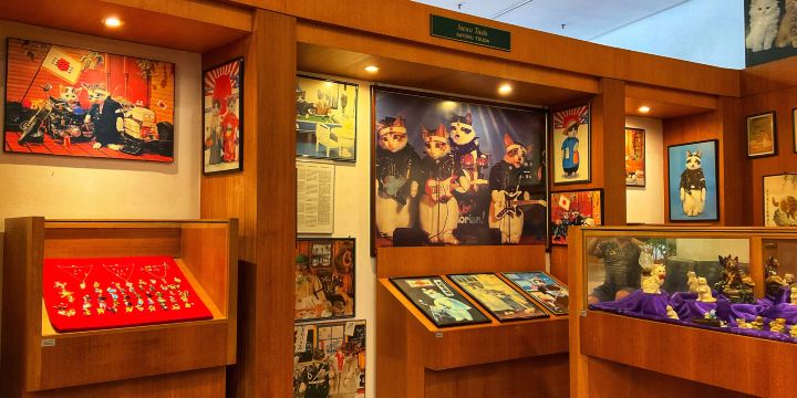 DBKU Cat Museum