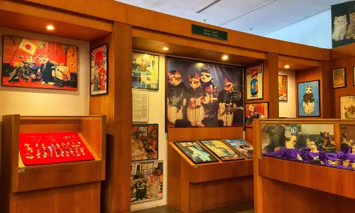 DBKU Cat Museum