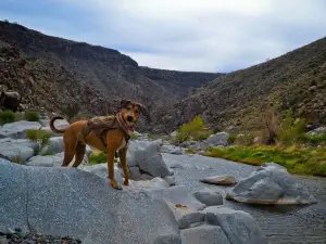 Agua Fria National Monument