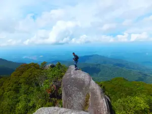 Mount Ophir