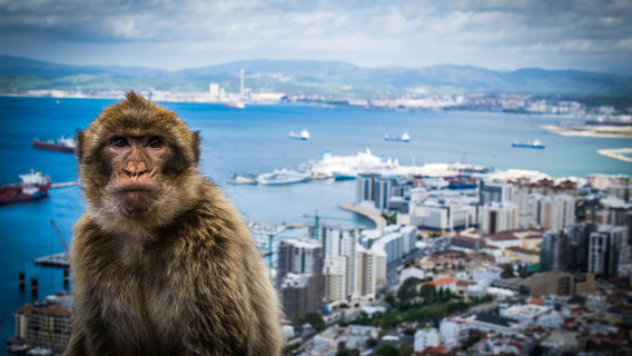Gibraltar