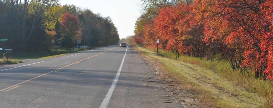 Carlos Township