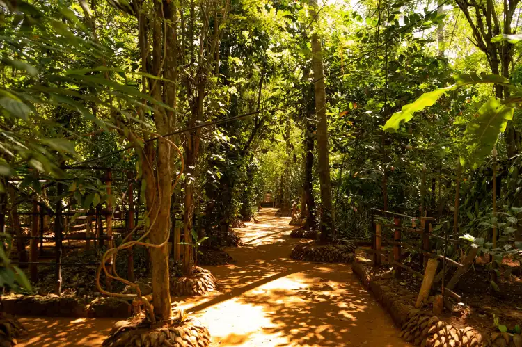 Hotels near Oak-Ray Isiwara Ayurvedic Village