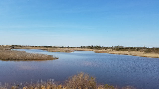 South Cape May Meadows