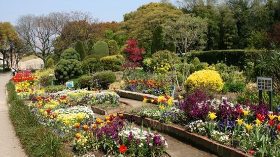 Yamadaike Park