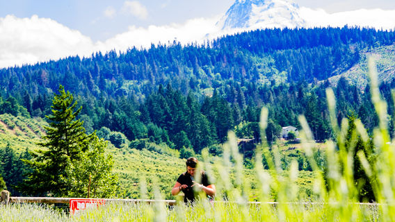 Hood River Lavender Farms