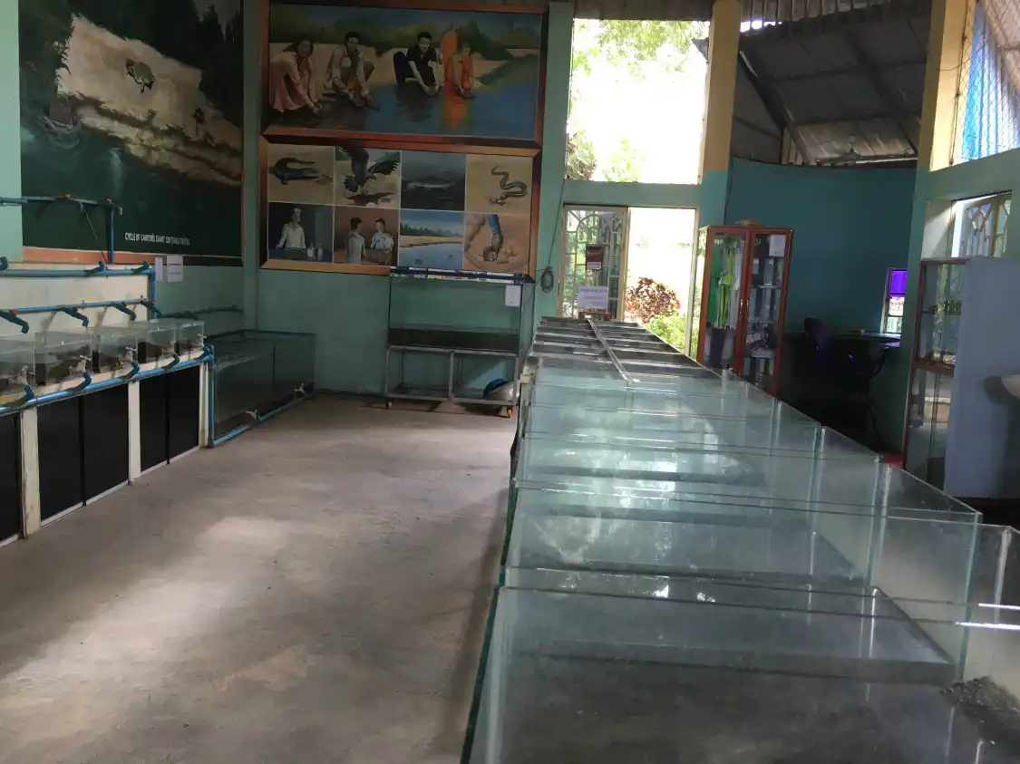 Mekong Turtle Conservation Center 주변 호텔