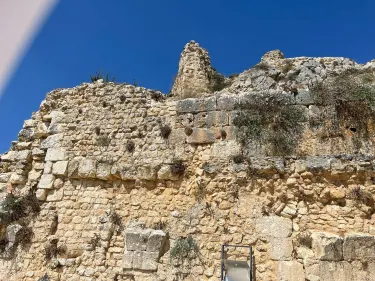 Nabatiye
