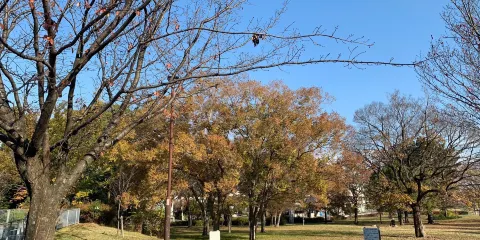 見晴台考古資料館