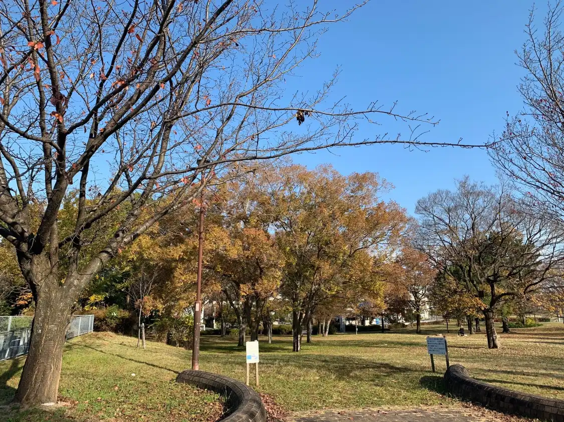 โรงแรมใกล้Miharashidai Archaeological Museum
