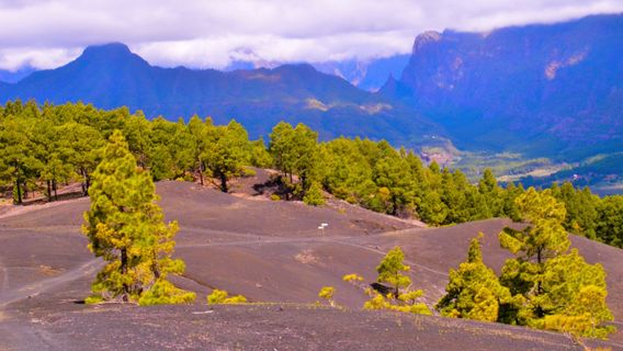 Volcan de San Antonio