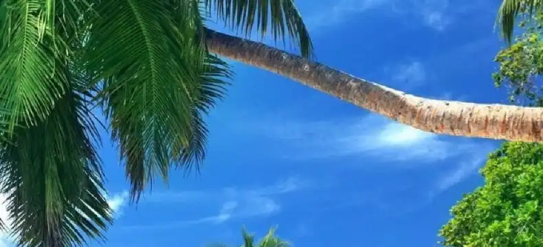 Hotel berhampiran Pantai Goa Langir