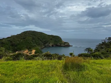 Tutukaka Headland