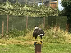 Gentleshaw Wildlife Centre