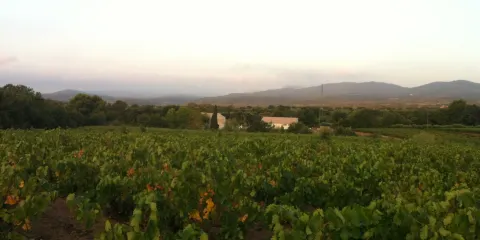 Domaine CROIX ROUSSE