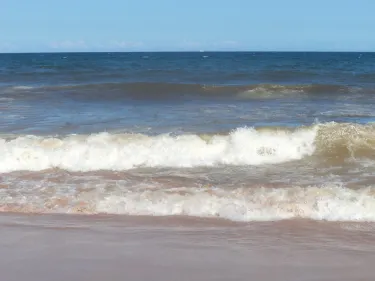 Armacao beach