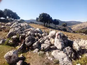 Cueva de los Murcielagos