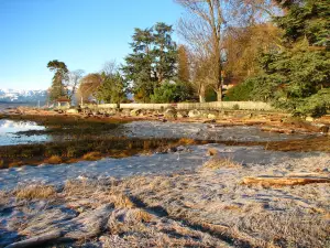 Filberg Park