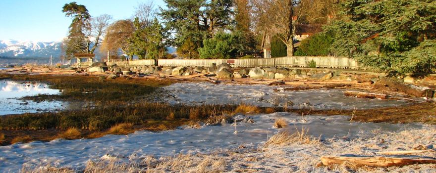 Filberg Park