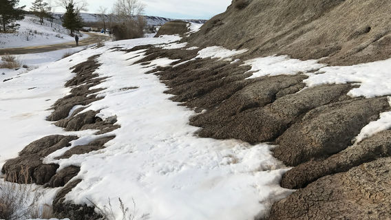 Midland Provincial Park