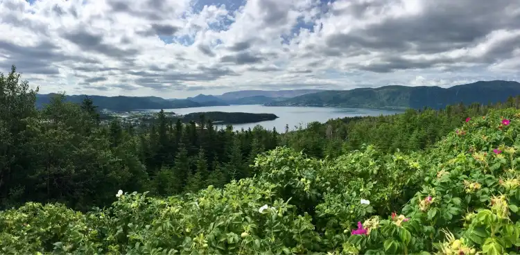 Norris Point