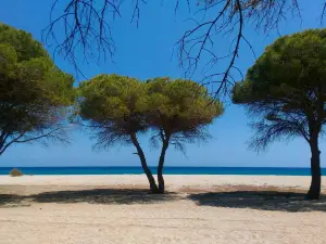 Spiaggia di Su Barone