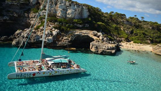 Magic Catamarans