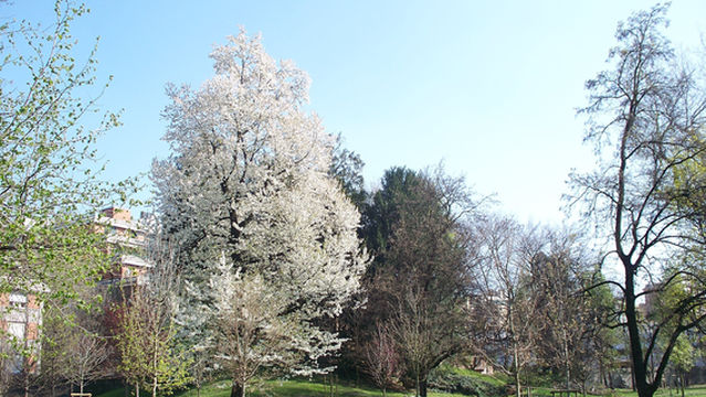 Parco Di Villa Finzi