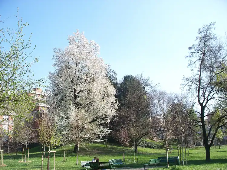 Hotels in der Nähe von Parco Di Villa Finzi