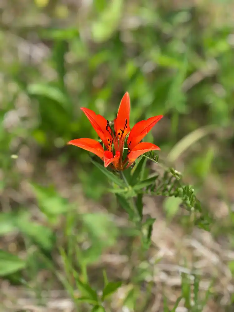 Hotels in Manitouwadge