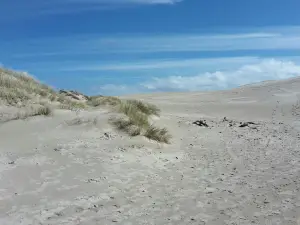 Råbjerg Mile