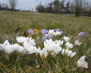 香港-埃施博恩 機票酒店 自由行