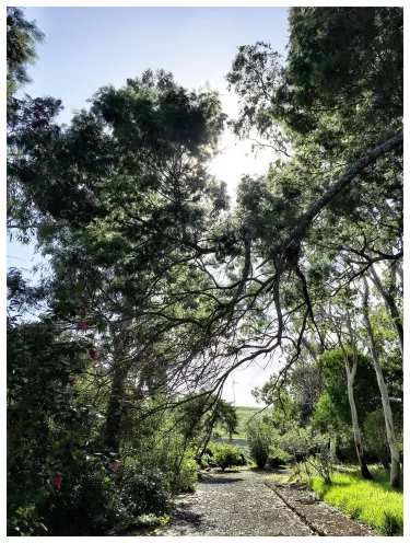 Recreational Forest Reserve of Valverde Eng. Emiliano Costa