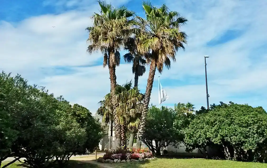 Hotel dekat Jardin Botanique des Myrtes