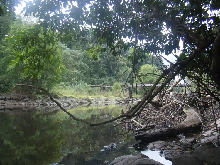 Ebolowa
